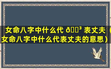 女命八字中什么代 🌳 表丈夫（女命八字中什么代表丈夫的意思）